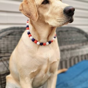 Designer Dog Necklace - Patriotic Pup, Red White Blue, Washable Silicone Beads, Elastic Stretch Cord, Americana, Unique Pet Gift, Photo Prop