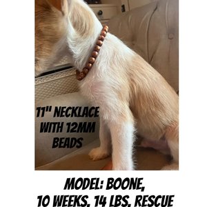 Bronze & Copper Silicone Dog Necklace: Elastic Stretch Puppy Collar