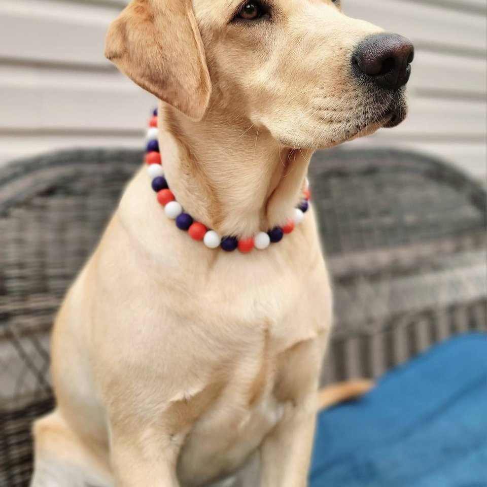 Designer Dog Necklace - Patriotic Pup, Red White Blue, Washable Silicone Beads, Elastic Stretch Cord, Americana, Unique Pet Gift, Photo Prop